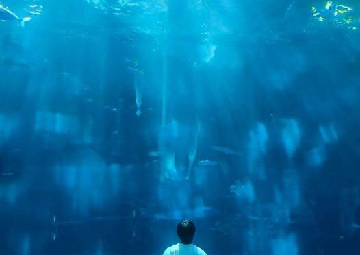 【豊かさを遠ざける無意識のマネーブロックの正体】